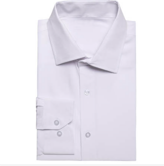 Wrinkle-Free  White Long Sleeve Casual Button Down Shirt- CY-1053